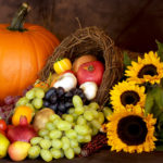 Are cornucopias real?