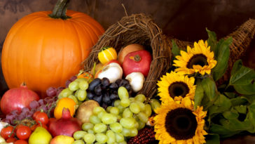 Are cornucopias real?