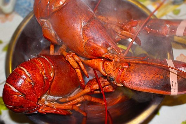 Are lobsters cheaper in Maine?