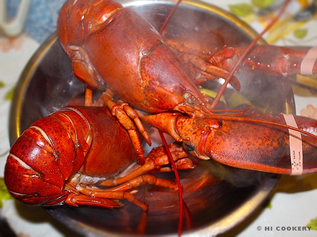 Are lobsters cheaper in Maine?