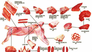 Did Mcdonalds use kangaroo meat?