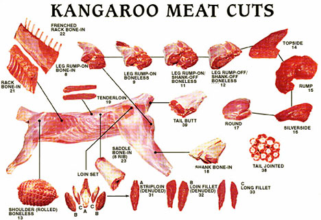 Did Mcdonalds use kangaroo meat? - Foodly