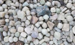 Did slaves eat oxtails?