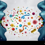 Do buffets spread disease?