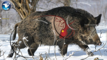 Does Boar's Head turkey have nitrites?