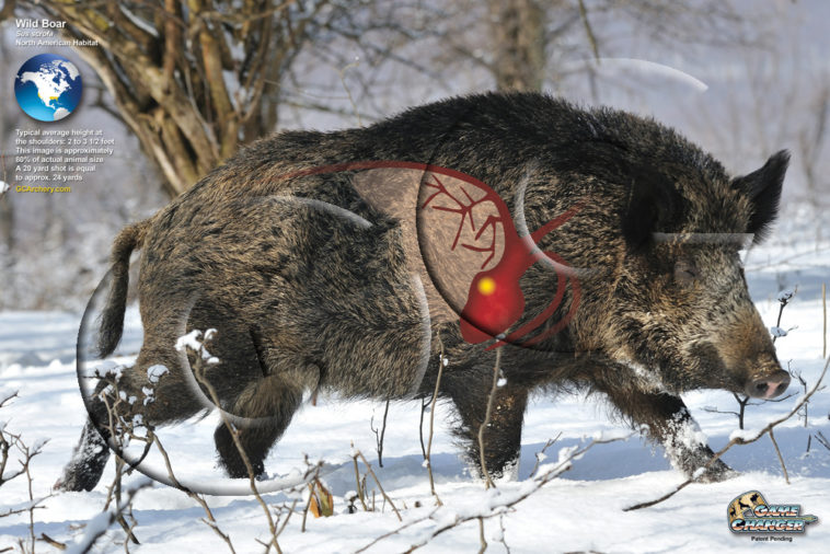 Does Boar's Head turkey have nitrites?