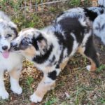 Does Home Depot have a discount program?