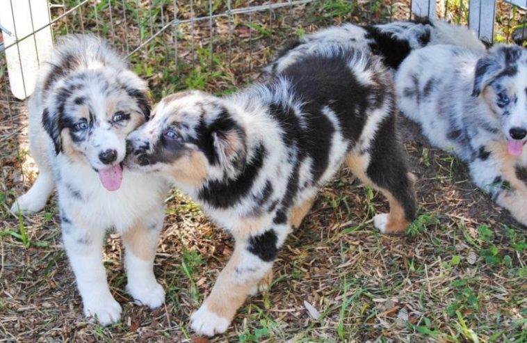 Does Home Depot have a discount program?