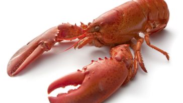 Does LongHorn serve lobster?