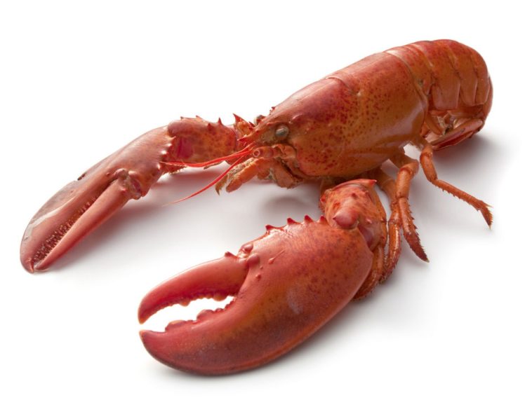 Does LongHorn serve lobster?