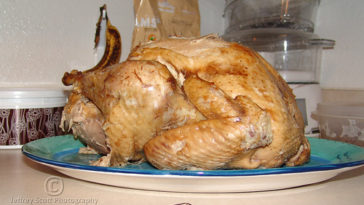 Does Publix have pre cooked turkeys?