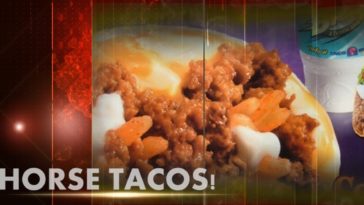 Does Taco Bell use horse meat?