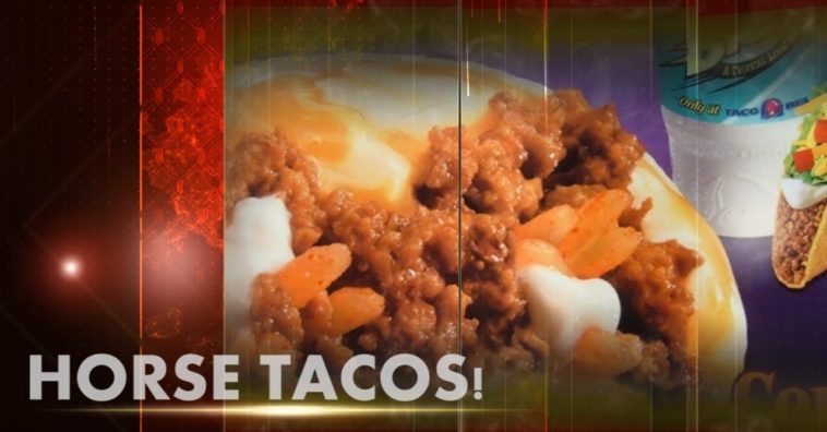 Does Taco Bell use horse meat?