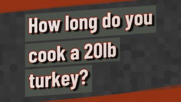 How long does it take to cook a 20lb turkey in a convection oven?