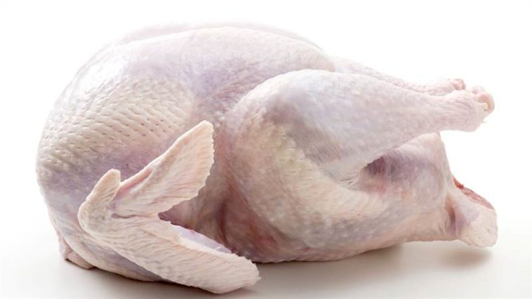 How long is frozen cooked turkey good for?