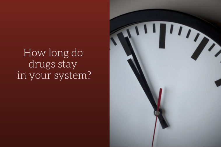 How long was Maggiano's in business?