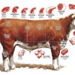 How many porterhouse steaks are in a cow?