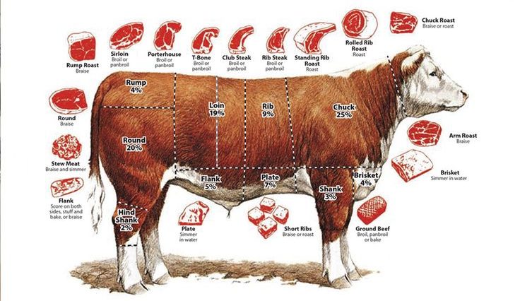 How many porterhouse steaks are in a cow?