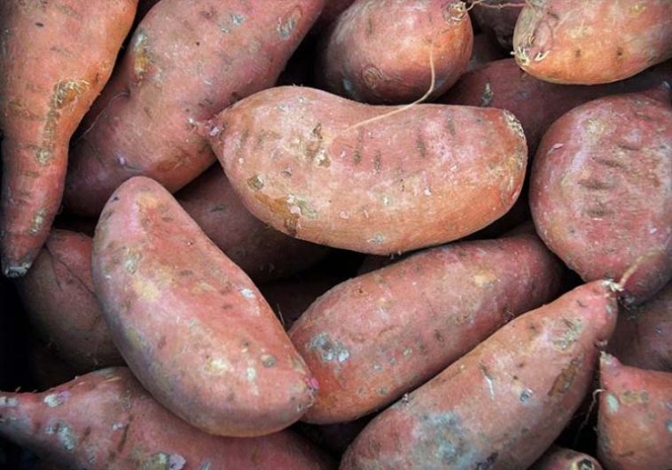 How many sweet potatoes is 2 cups?