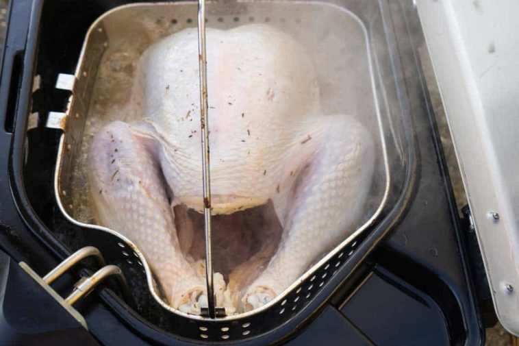How much does a turkey fryer cost?