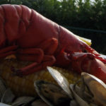 How much is a whole lobster?