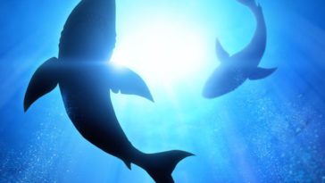 How often do Costco employees get raises?