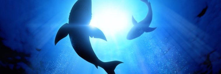 How often do Costco employees get raises?