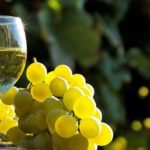 Is Moscato champagne or wine?