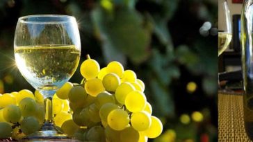 Is Moscato champagne or wine?