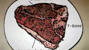 Is a New York strip part of a T-bone?