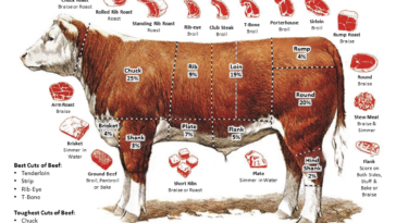 Is beef tenderloin a good cut of meat?