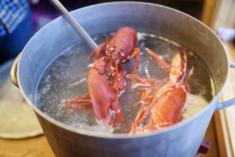 Is it illegal to boil lobsters alive UK?