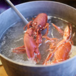 Is it illegal to boil lobsters alive UK?