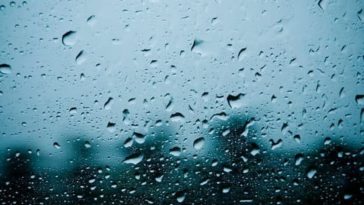 Is it safe to eat a turkey frozen for 3 years?