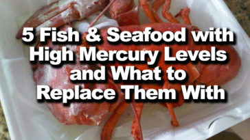Is lobster high in mercury?