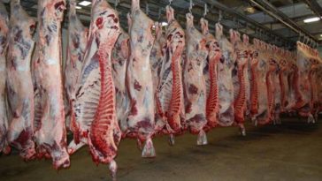 Is meat frozen for 4 years still good?