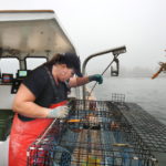 Is there a lobster season in Maine?