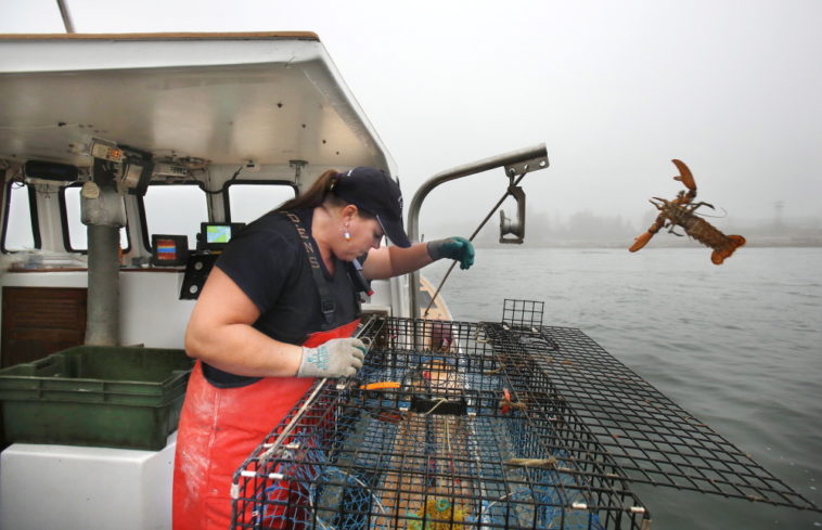 Is there a lobster season in Maine?