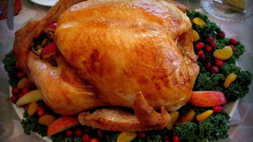 Should I put broth in bottom of turkey pan?