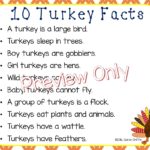 What are 5 facts about Thanksgiving?