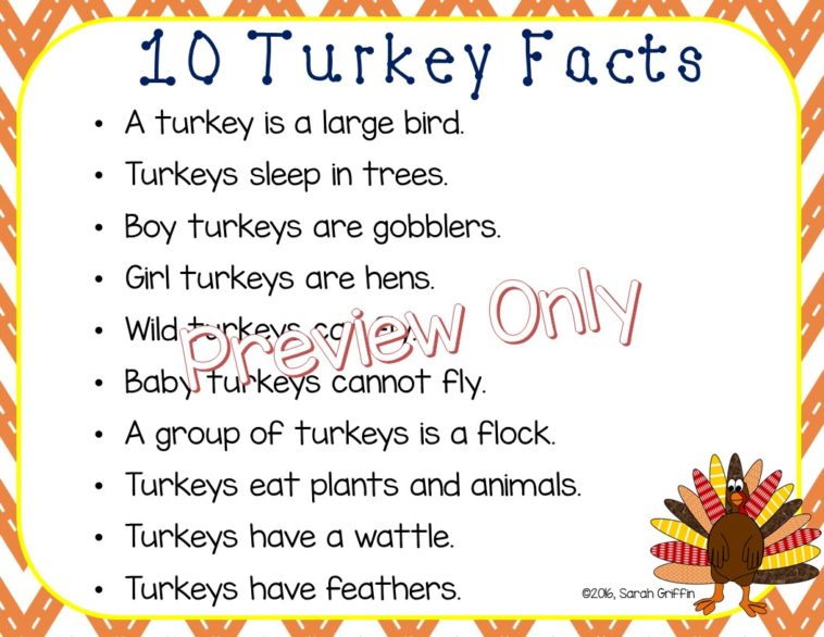 What are 5 facts about Thanksgiving?
