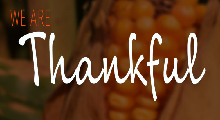 What are the 3 things you are thankful for?