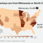 What are the top 3 turkey producing states in the US?