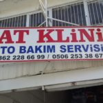 What can I replace turkey with?