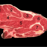What cut of meat is seven steak?