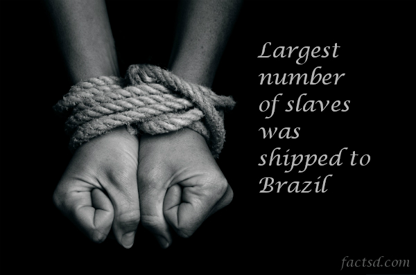 What did slaves do for fun?