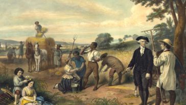 What did slaves do on Sundays?