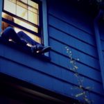 What do you do when your teenager sneaks out?