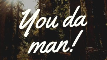 What does zeppole mean in English?