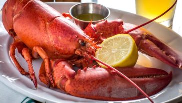 What fish is similar to lobster?